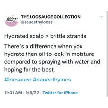 Load image into Gallery viewer, LOCSAUCE DUO SET